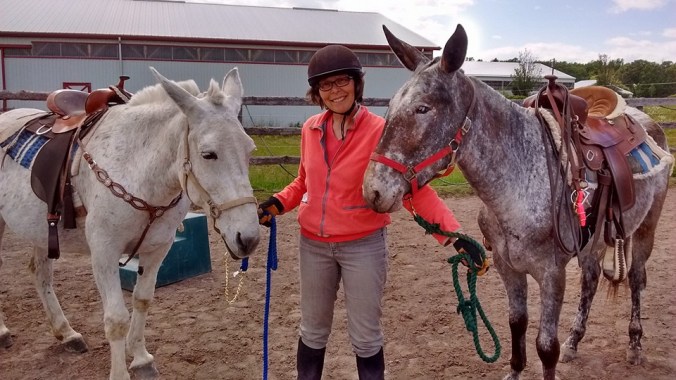 13413062_10153469117506455_6866694540130921152_n (1)