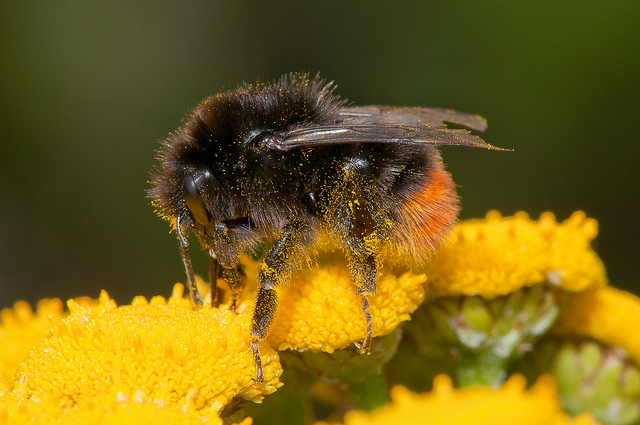 8242397844_b2fd31aa4e_z