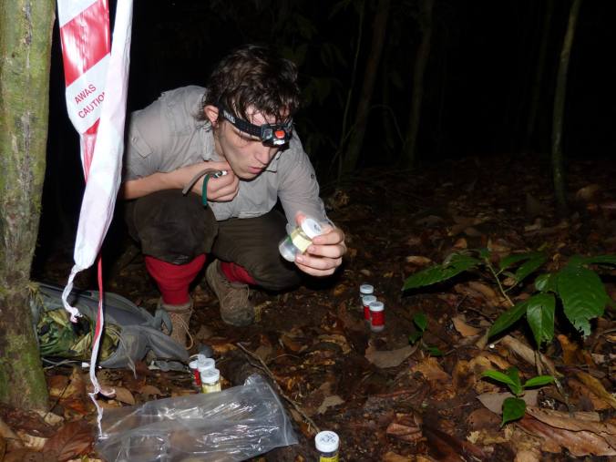 Working2 Credit Matt Jarvis