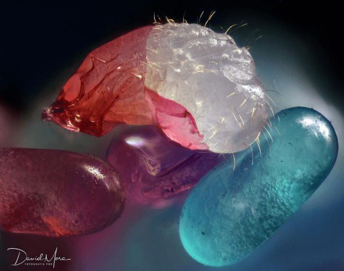 Screen Shot 2019-11-15 at 2.37.41 PM